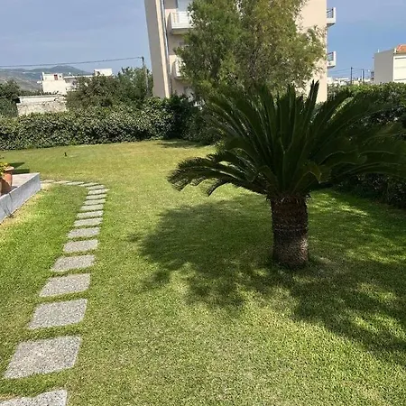 Oasis *